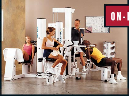 Used Vectra On-Line 4850 Multi-Gym (Black) Strength System